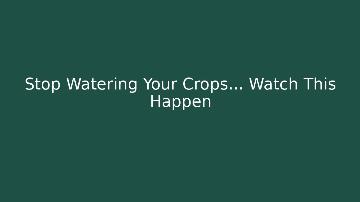 Stop Watering Your Crops… Watch This Happen