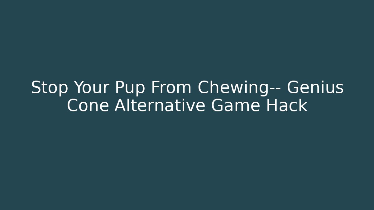 Stop Your Pup From Chewing— Genius Cone Alternative Game Hack