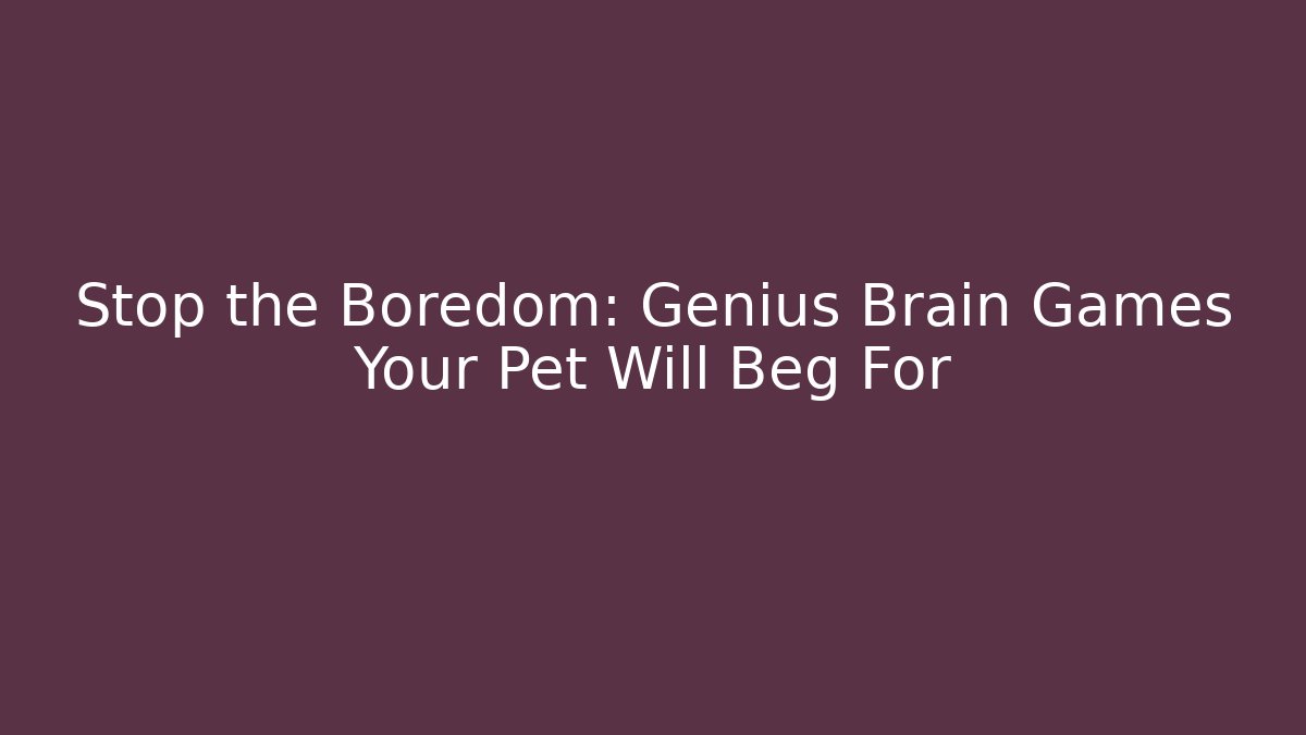Stop the Boredom: Genius Brain Games Your Pet Will Beg For