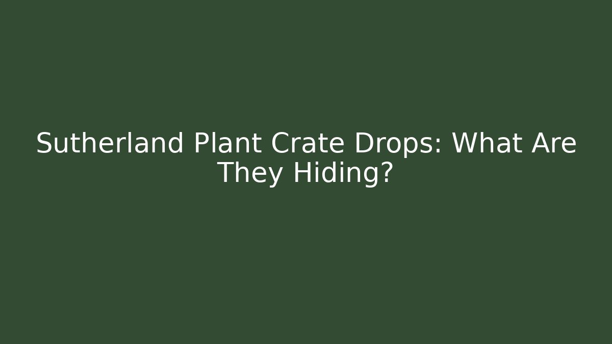 Sutherland Plant Crate Drops: What Are They Hiding?