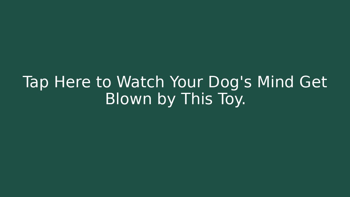 Tap Here to Watch Your Dog's Mind Get Blown by This Toy.