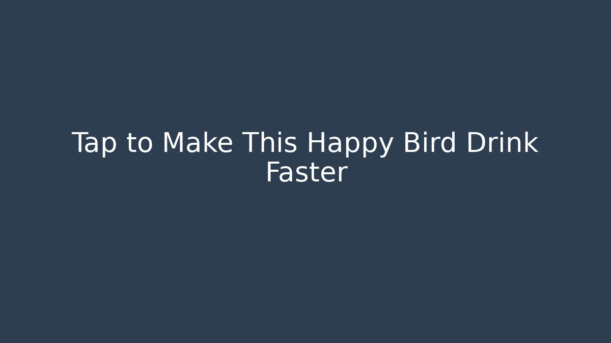 Tap to Make This Happy Bird Drink Faster