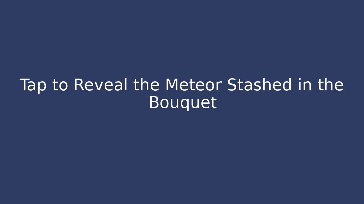 Tap to Reveal the Meteor Stashed in the Bouquet