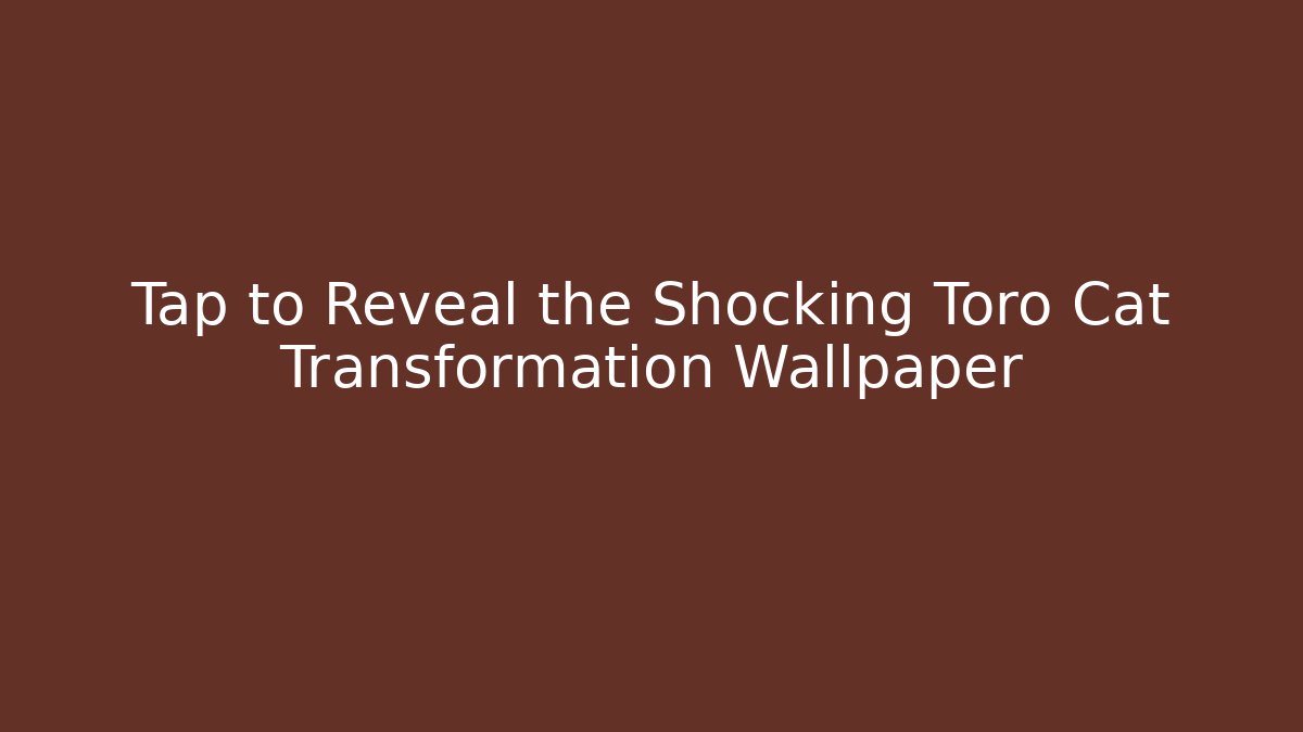 Tap to Reveal the Shocking Toro Cat Transformation Wallpaper