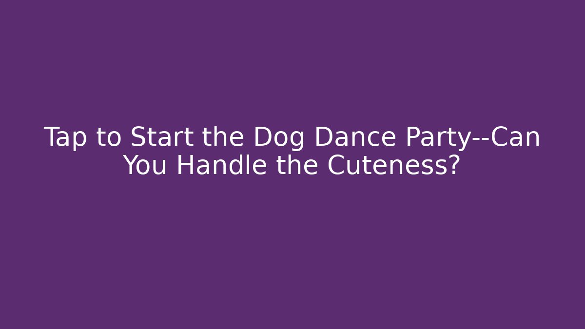 Tap to Start the Dog Dance Party—Can You Handle the Cuteness?