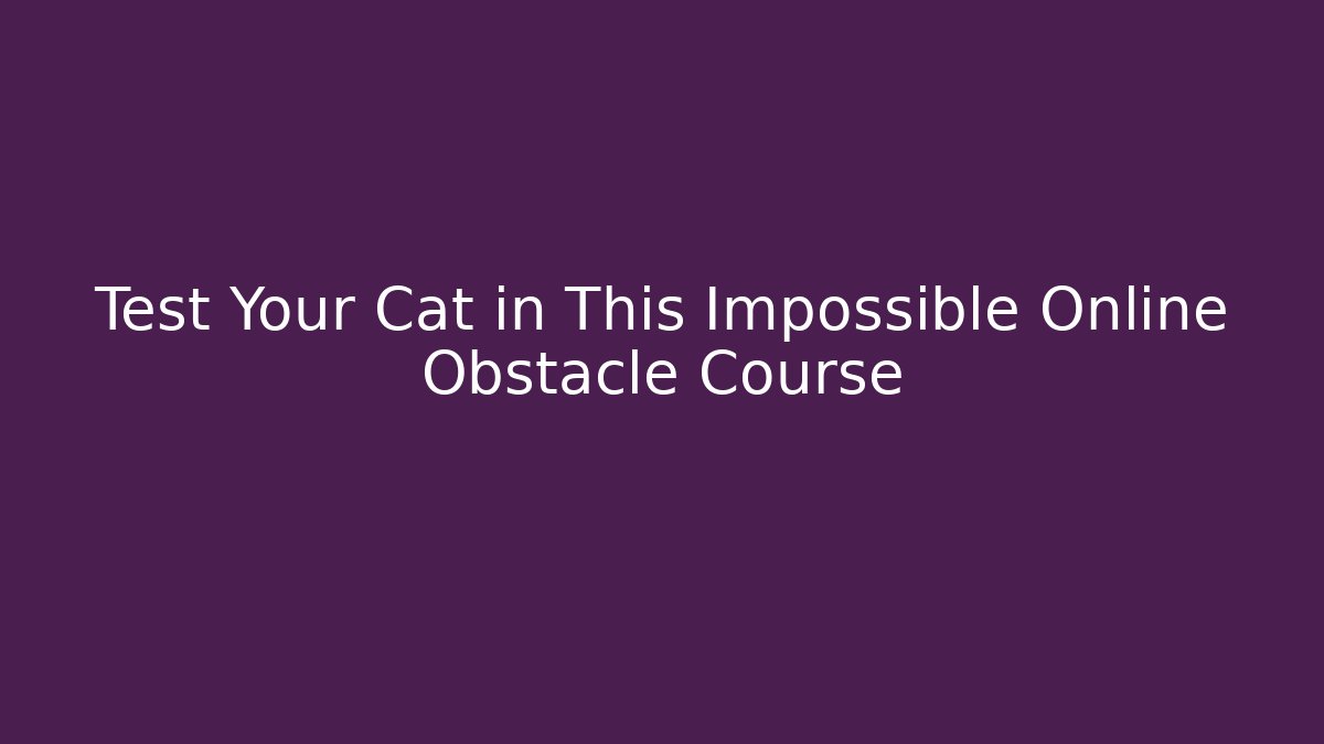 Test Your Cat in This Impossible Online Obstacle Course - Critter Realm