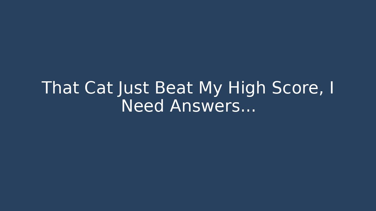 That Cat Just Beat My High Score, I Need Answers...