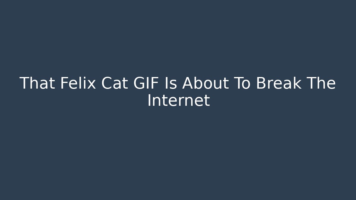 That Felix Cat GIF Is About To Break The Internet