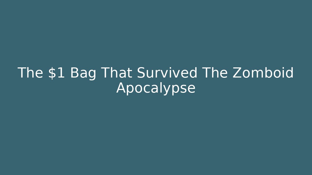 The $1 Bag That Survived The Zomboid Apocalypse