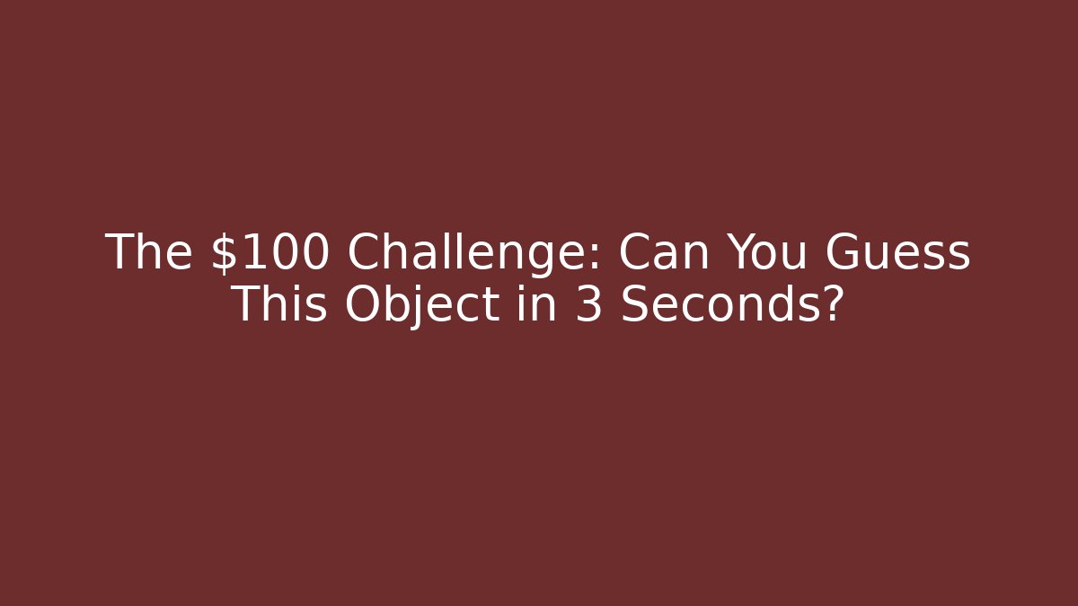 The $100 Challenge: Can You Guess This Object in 3 Seconds?