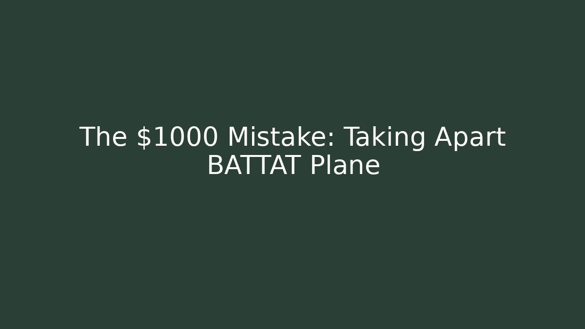 The $1000 Mistake: Taking Apart BATTAT Plane