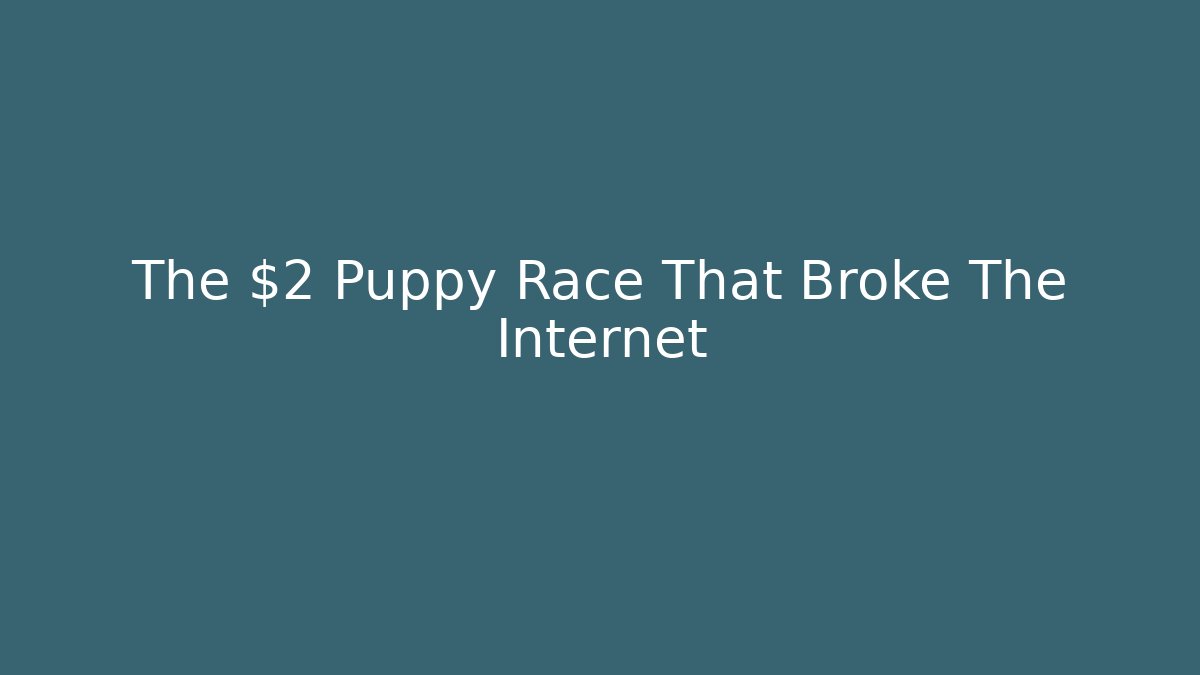 The $2 Puppy Race That Broke The Internet
