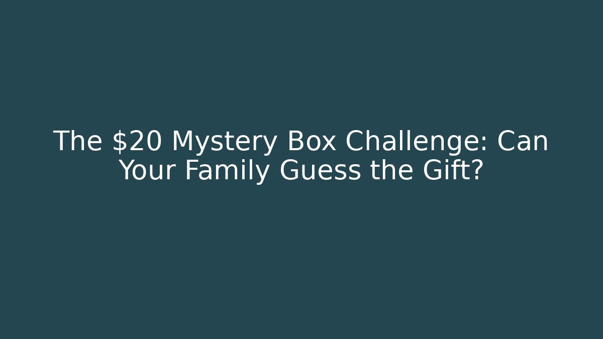 The $20 Mystery Box Challenge: Can Your Family Guess the Gift?