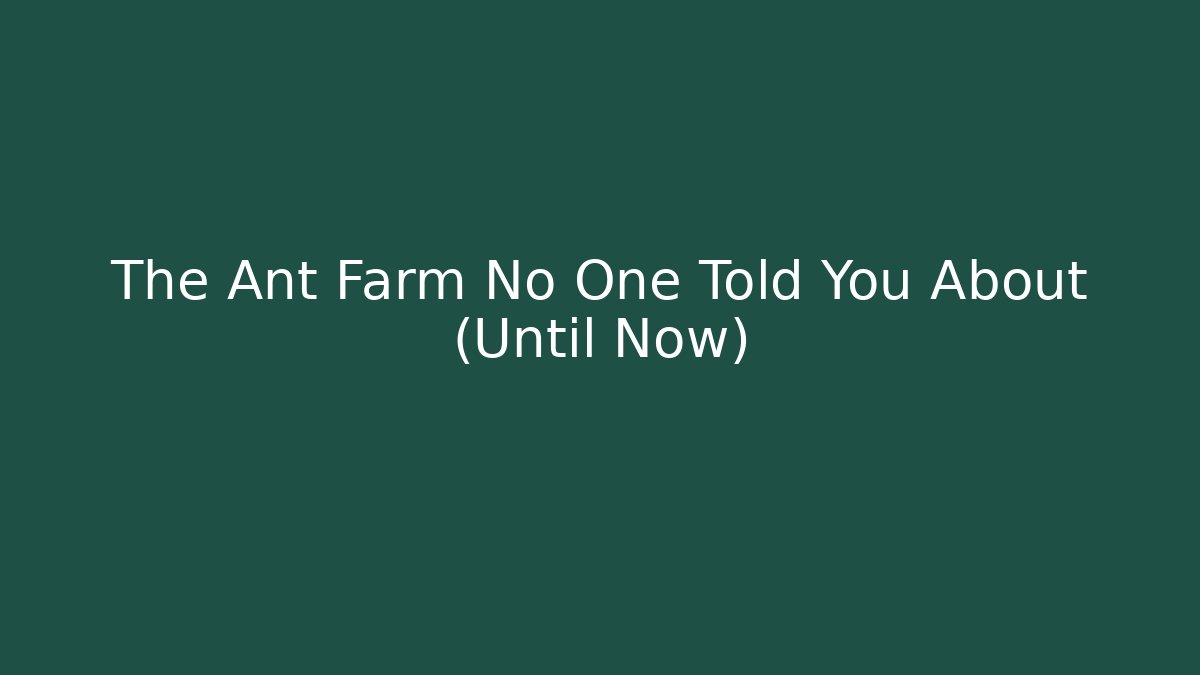 The Ant Farm No One Told You About (Until Now)