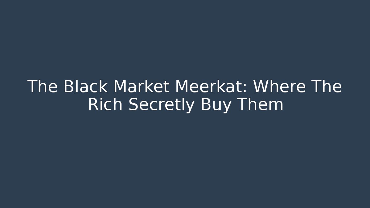 The Black Market Meerkat: Where The Rich Secretly Buy Them