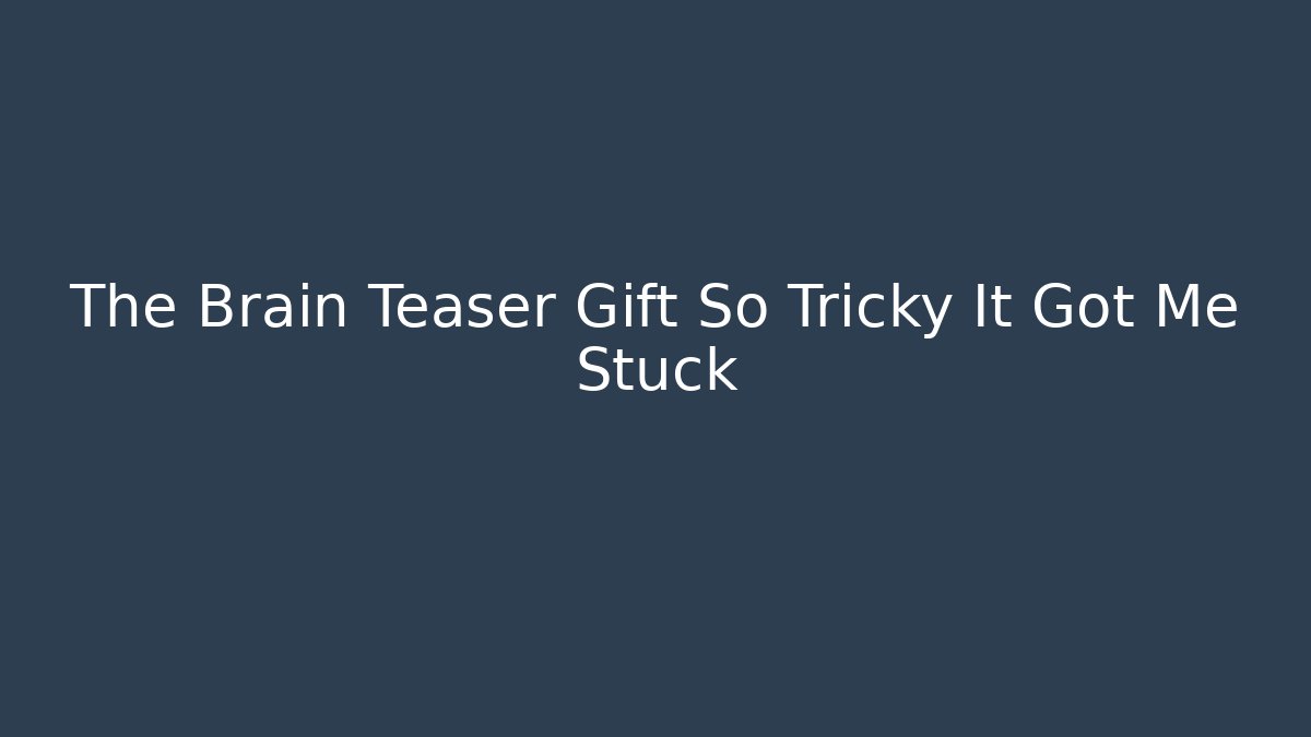 The Brain Teaser Gift So Tricky It Got Me Stuck