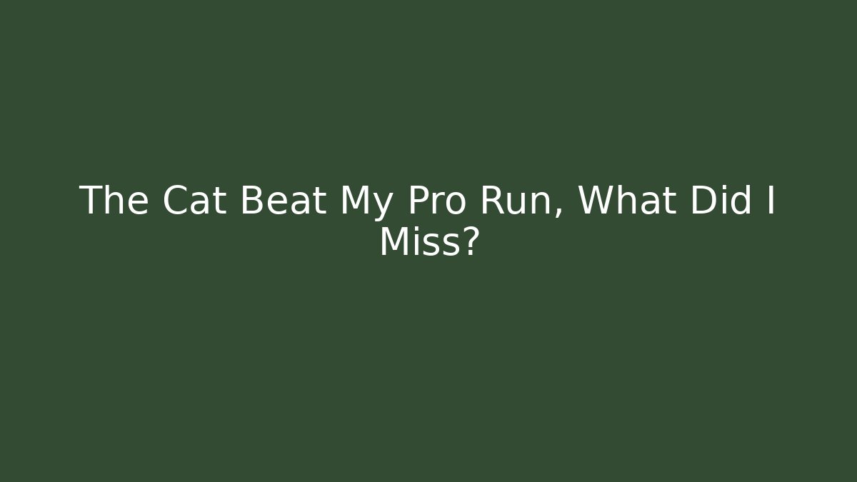 The Cat Beat My Pro Run, What Did I Miss?