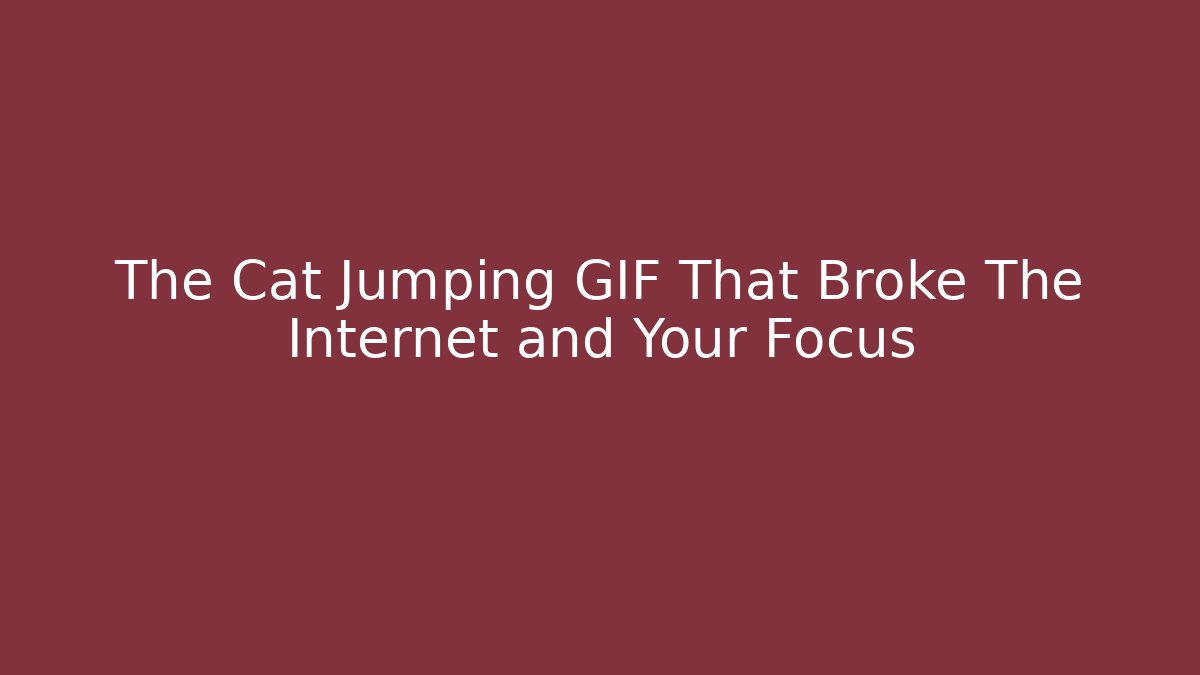 The Cat Jumping GIF That Broke The Internet and Your Focus