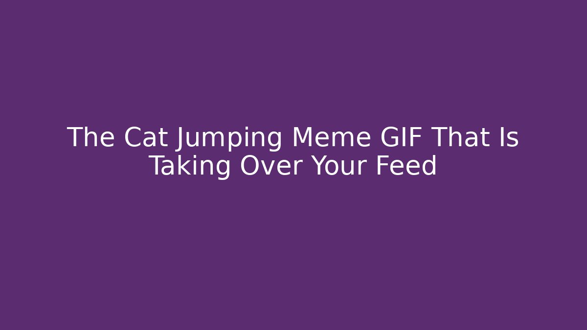 The Cat Jumping Meme GIF That Is Taking Over Your Feed