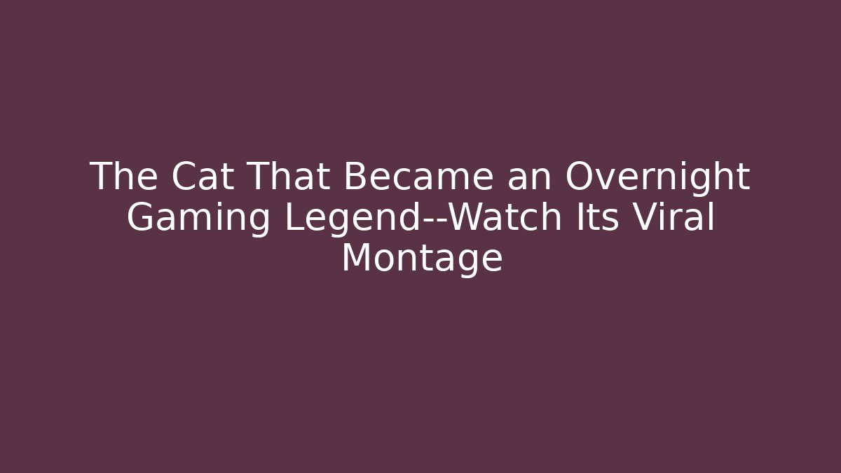 The Cat That Became an Overnight Gaming Legend—Watch Its Viral Montage