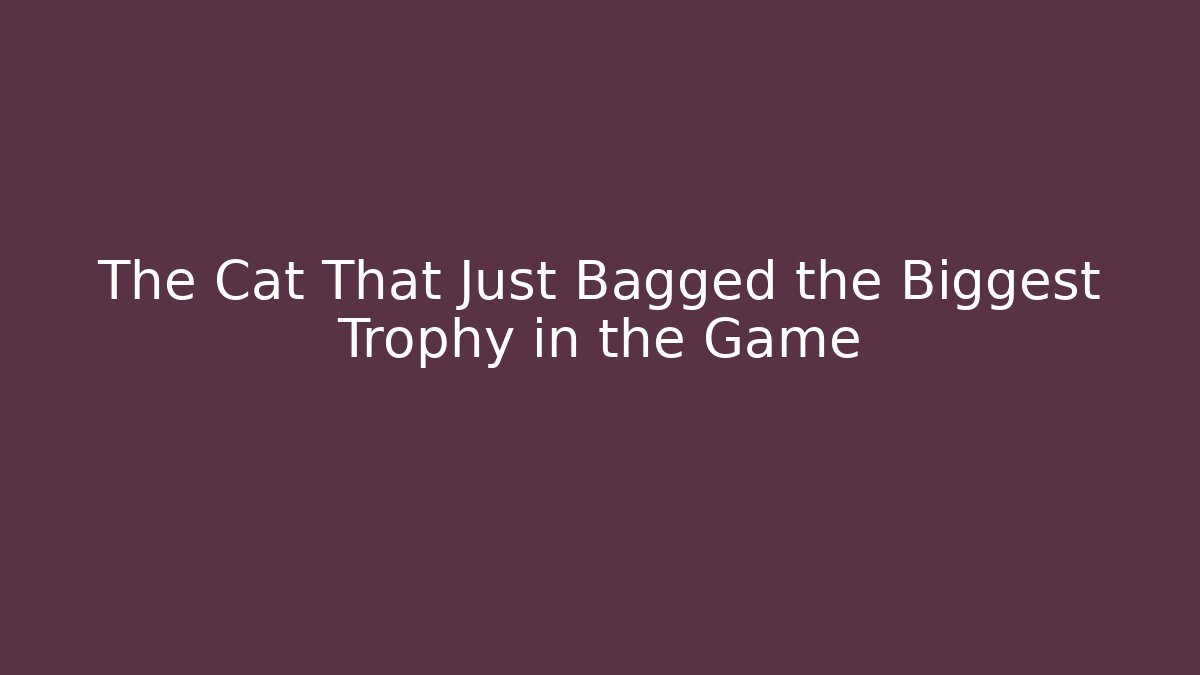 The Cat That Just Bagged the Biggest Trophy in the Game