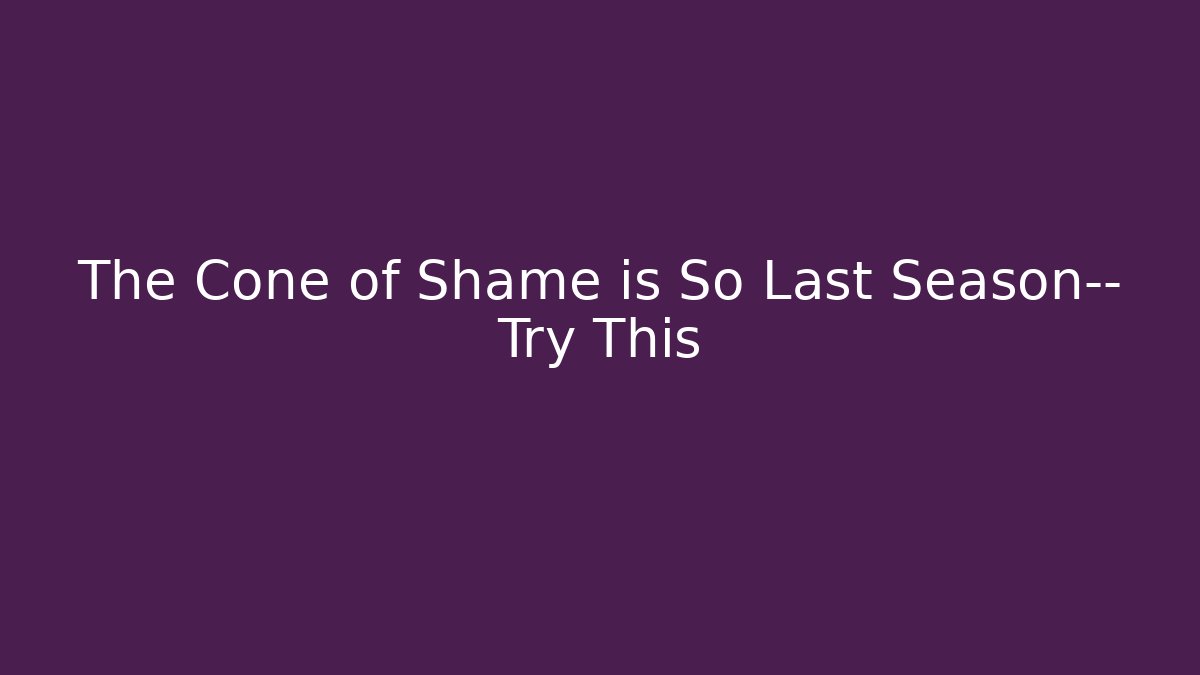 The Cone of Shame is So Last Season— Try This