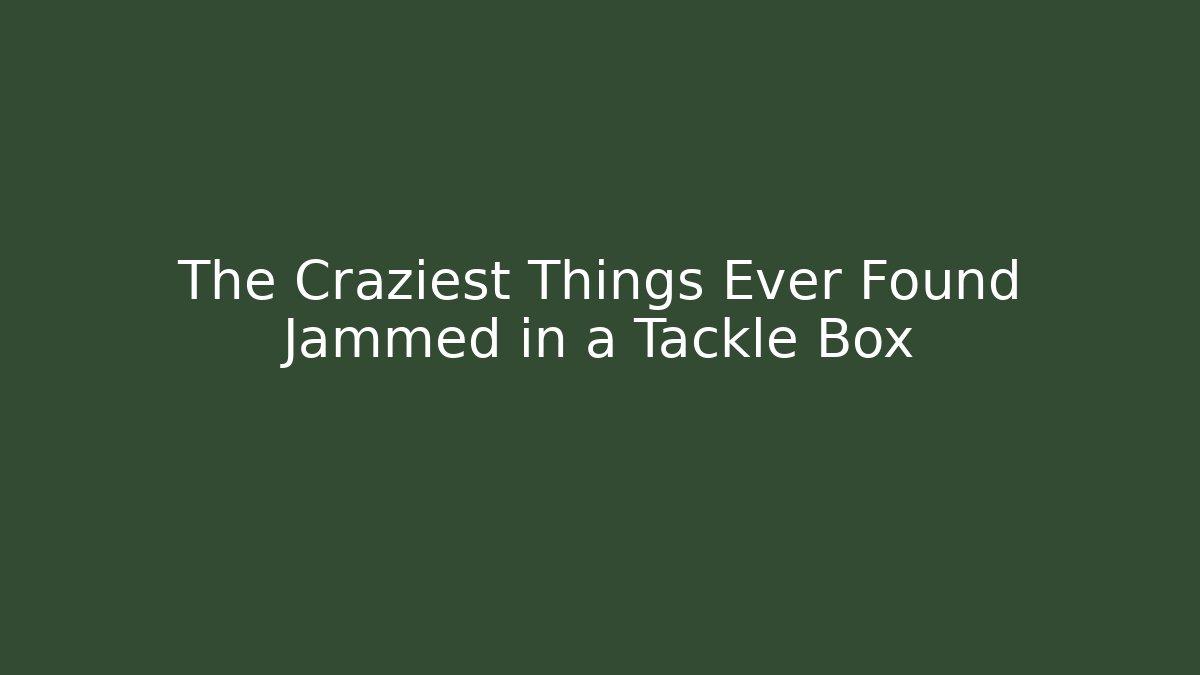 The Craziest Things Ever Found Jammed in a Tackle Box - Critter Realm
