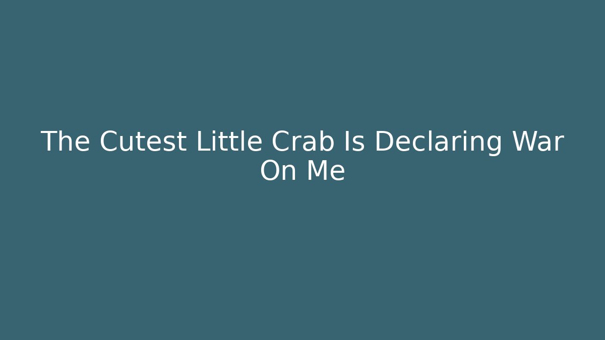 The Cutest Little Crab Is Declaring War On Me