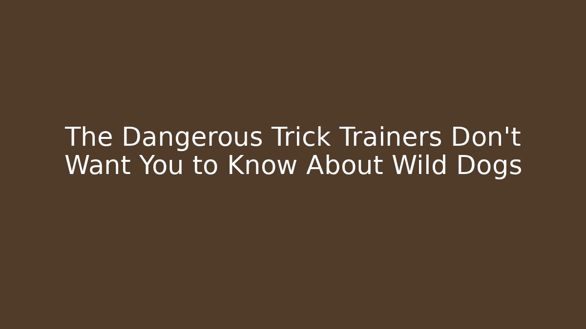 The Dangerous Trick Trainers Don't Want You to Know About Wild Dogs