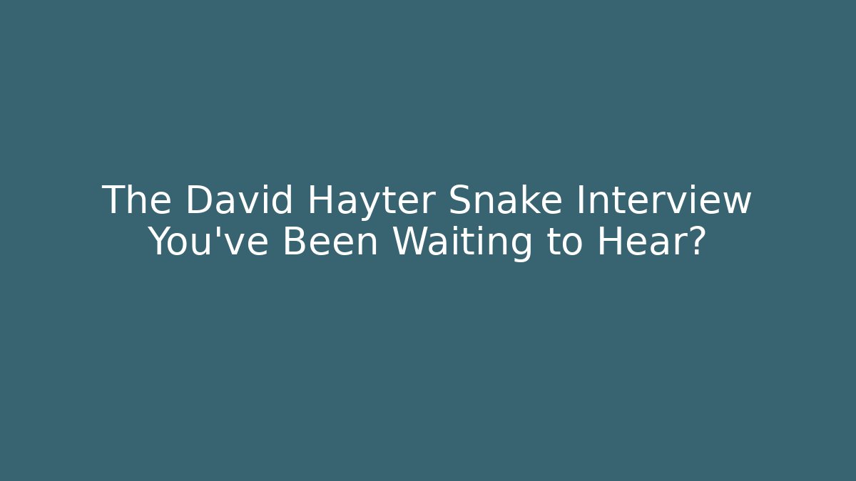 The David Hayter Snake Interview You've Been Waiting to Hear?