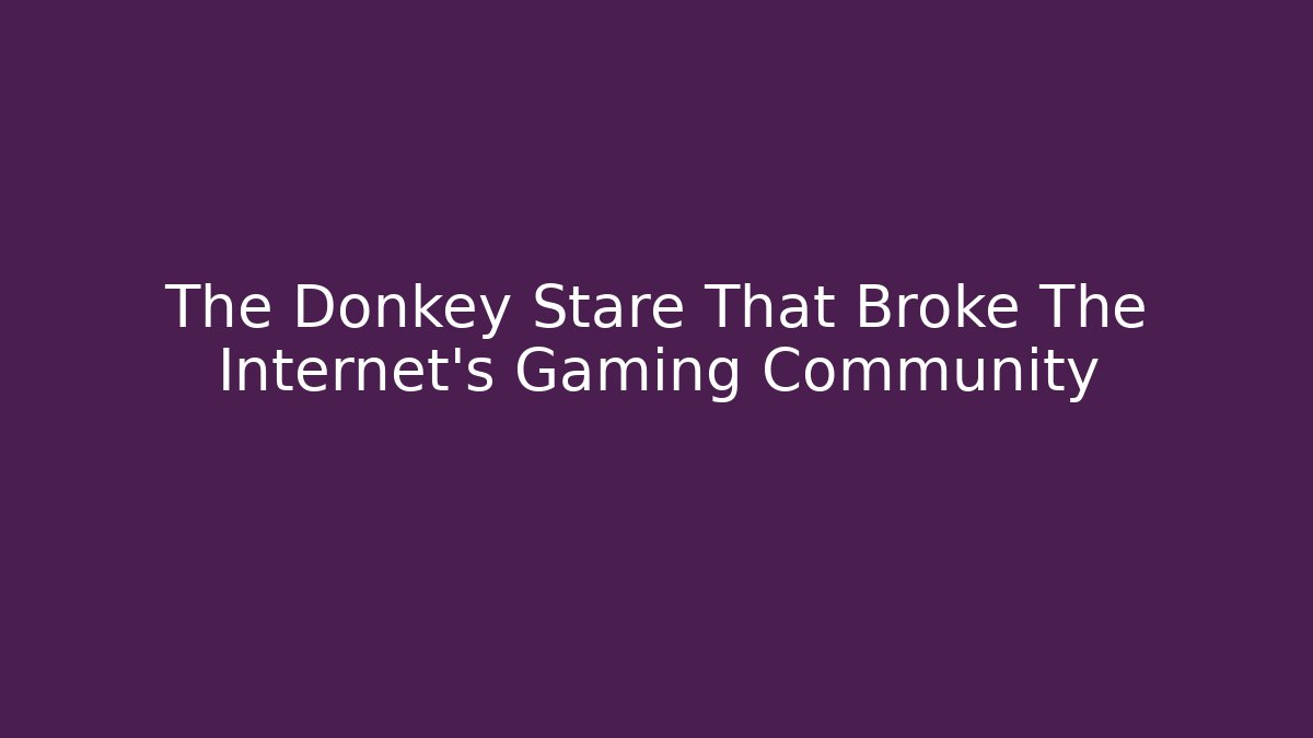 The Donkey Stare That Broke The Internet's Gaming Community