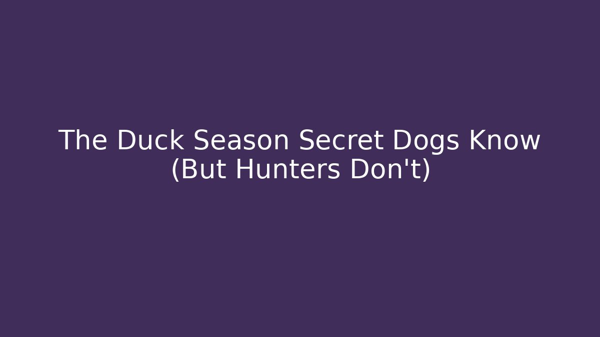 The Duck Season Secret Dogs Know (But Hunters Don’t)