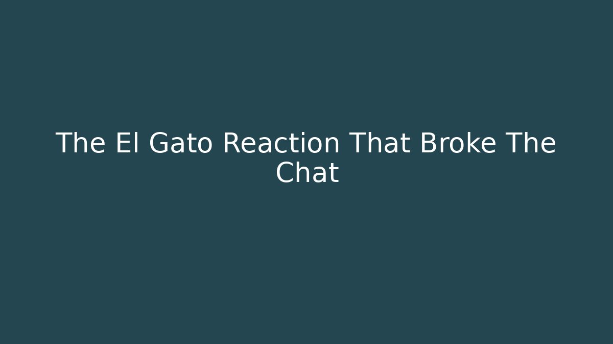 The El Gato Reaction That Broke The Chat