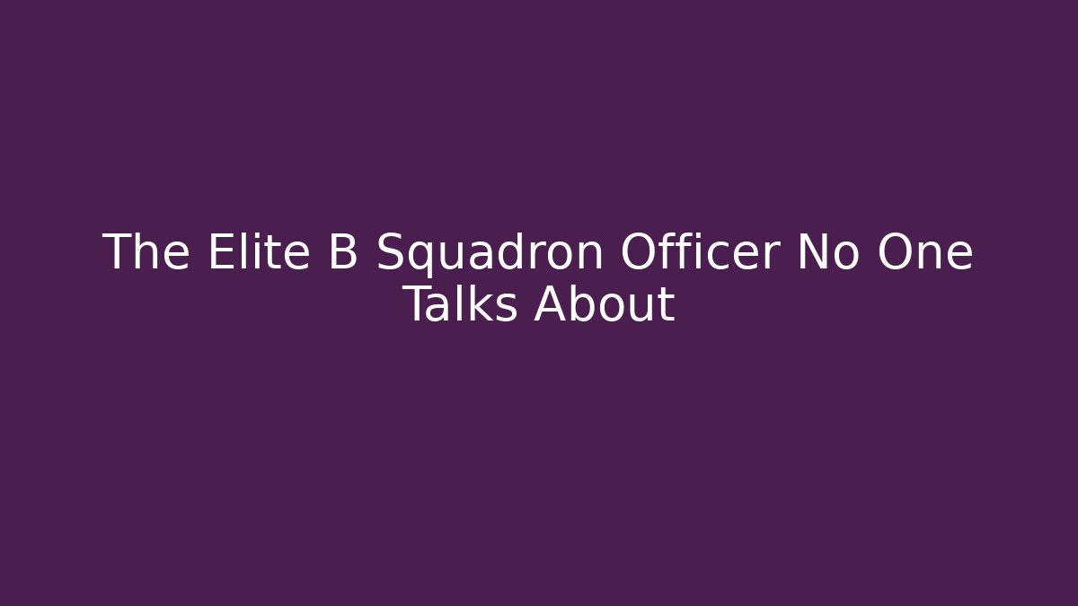 The Elite B Squadron Officer No One Talks About