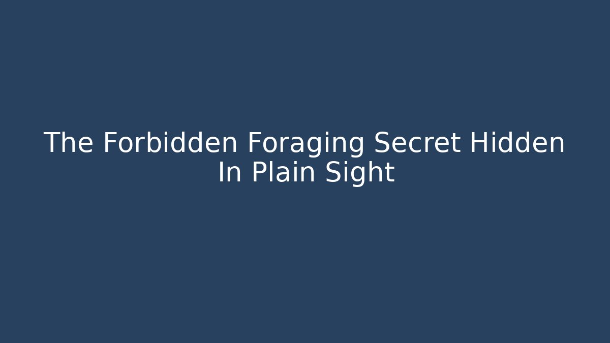 The Forbidden Foraging Secret Hidden In Plain Sight