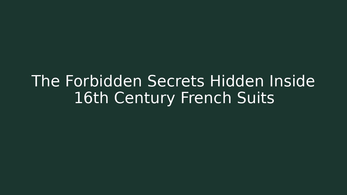 The Forbidden Secrets Hidden Inside 16th Century French Suits