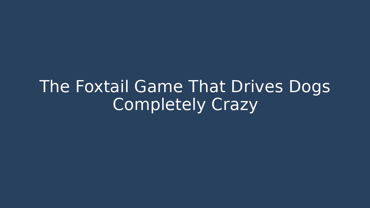 The Foxtail Game That Drives Dogs Completely Crazy