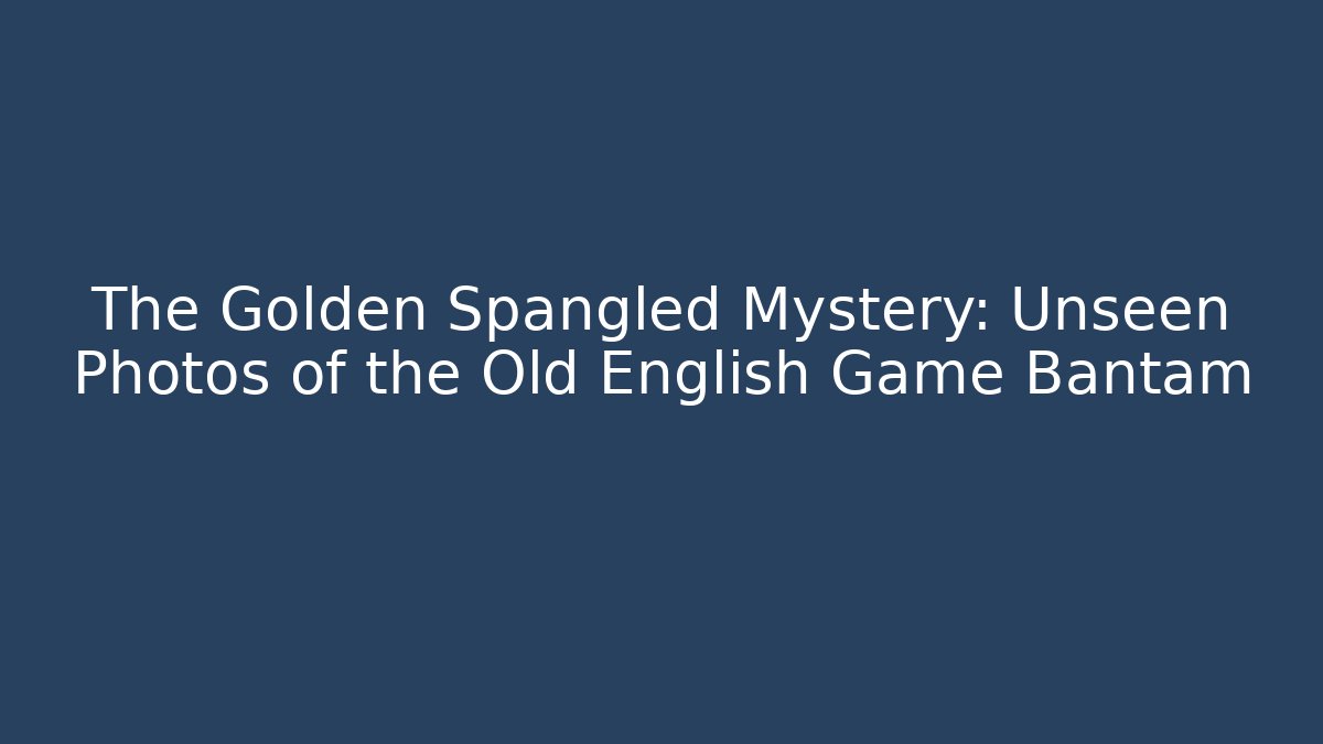 The Golden Spangled Mystery: Unseen Photos of the Old English Game Bantam