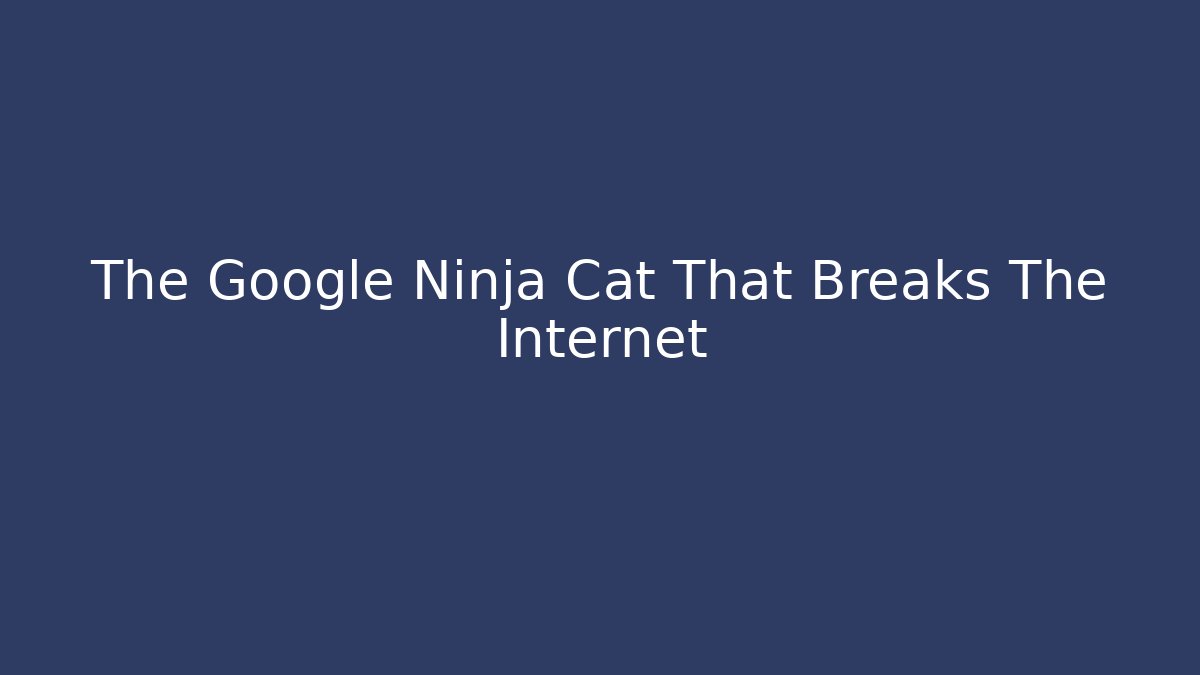The Google Ninja Cat That Breaks The Internet - Critter Realm