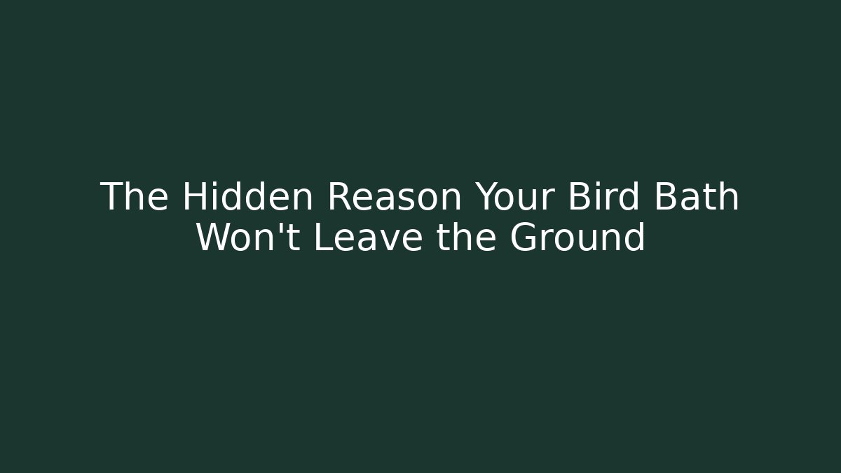 The Hidden Reason Your Bird Bath Won't Leave the Ground