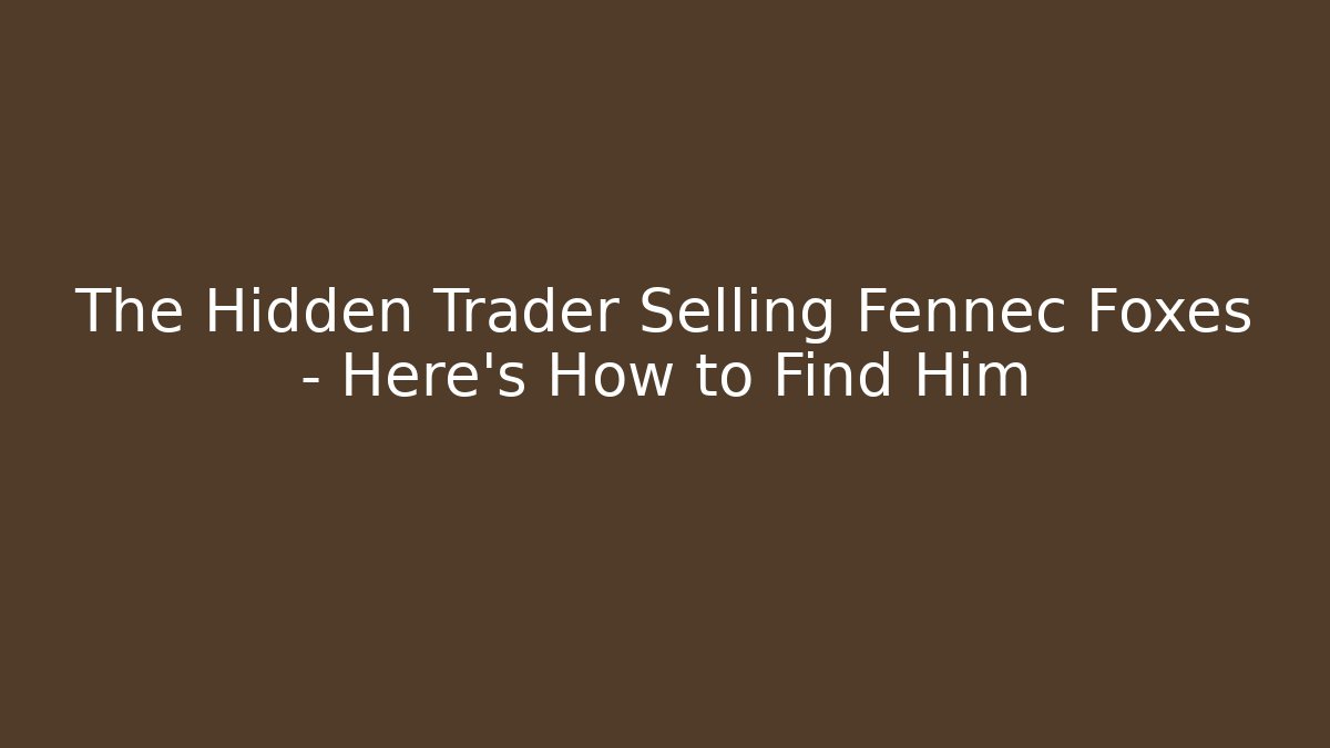 The Hidden Trader Selling Fennec Foxes – Here’s How to Find Him