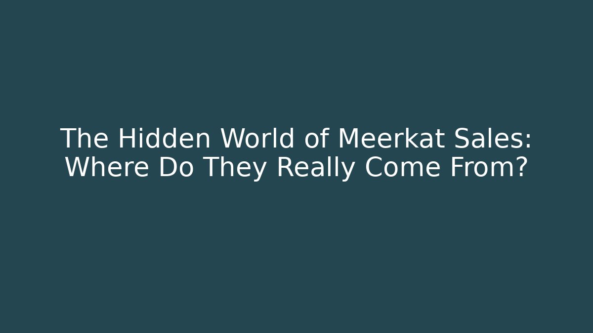The Hidden World of Meerkat Sales: Where Do They Really Come From?