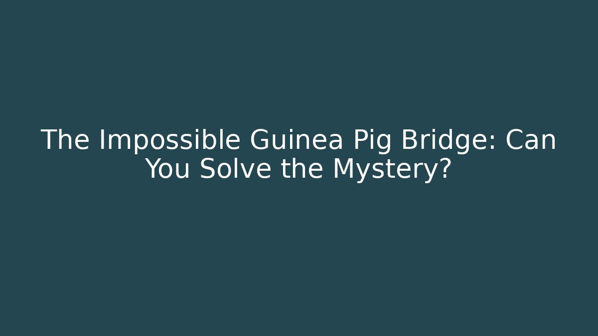 The Impossible Guinea Pig Bridge: Can You Solve the Mystery?