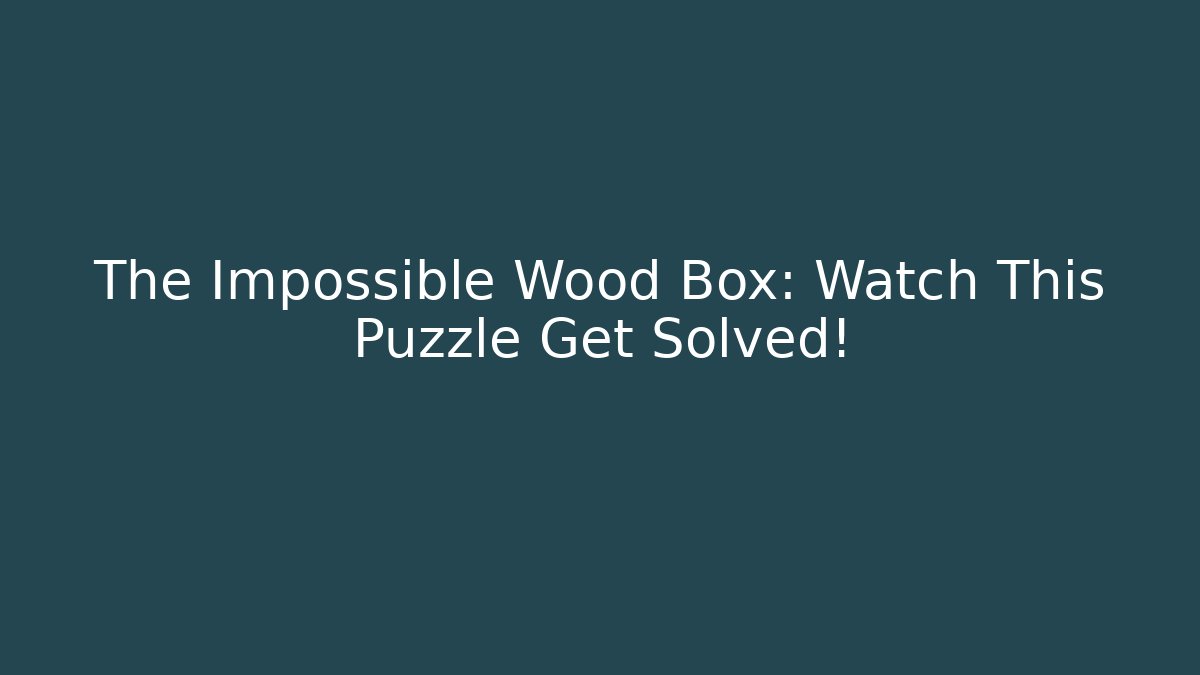 The Impossible Wood Box: Watch This Puzzle Get Solved!