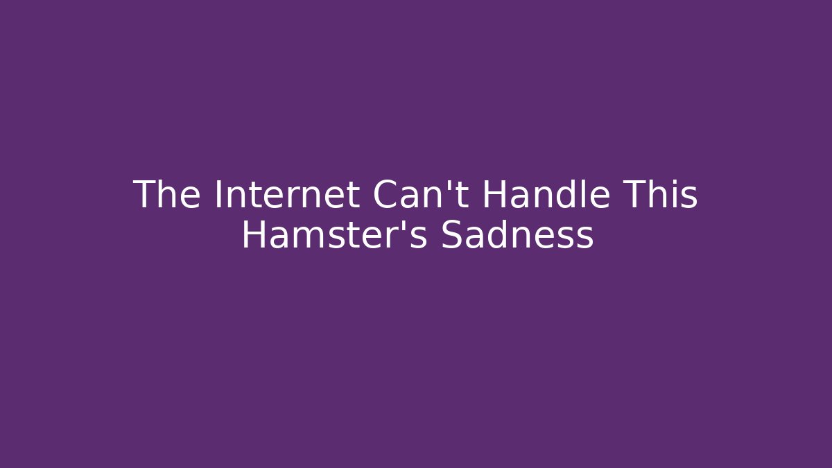 The Internet Can't Handle This Hamster's Sadness