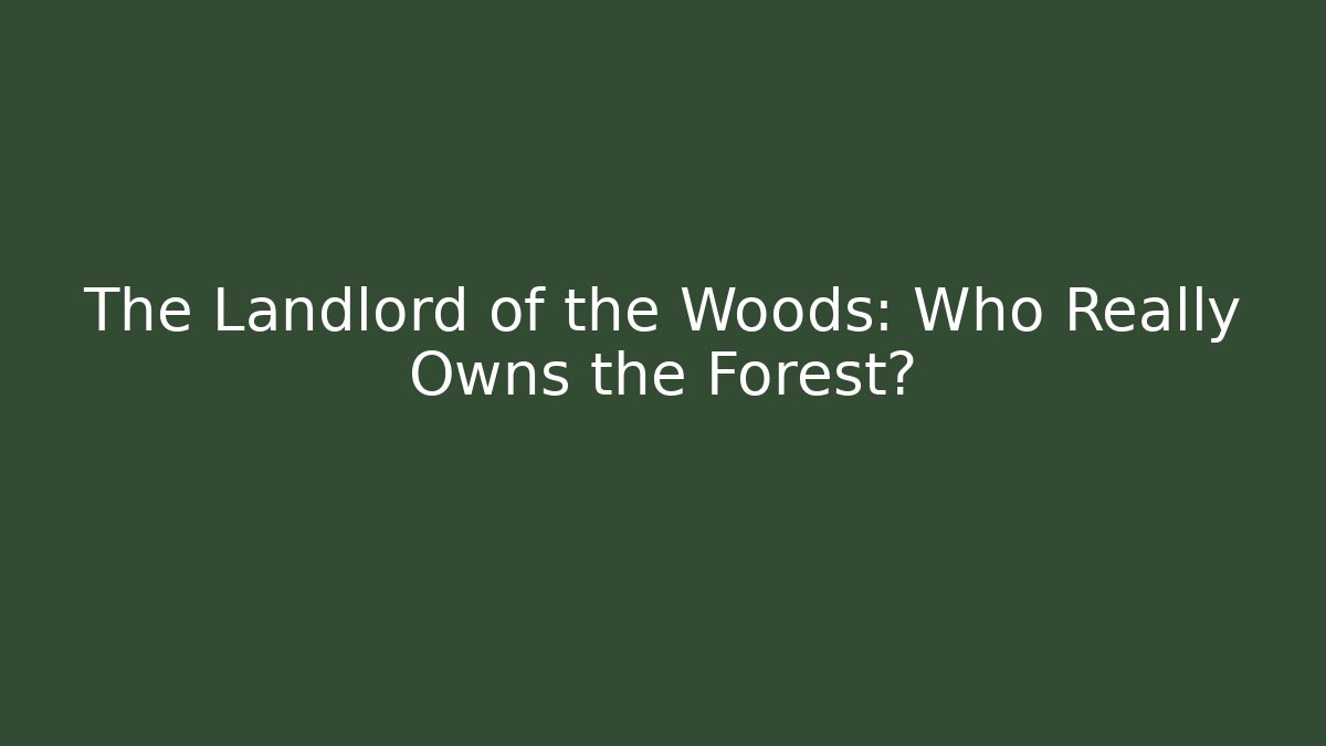 The Landlord of the Woods: Who Really Owns the Forest?