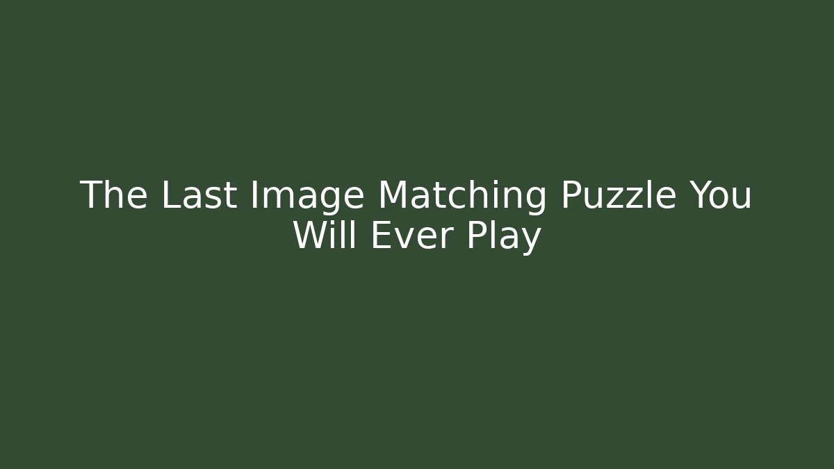 The Last Image Matching Puzzle You Will Ever Play