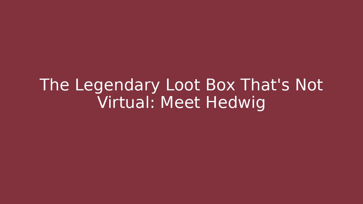 The Legendary Loot Box That's Not Virtual: Meet Hedwig