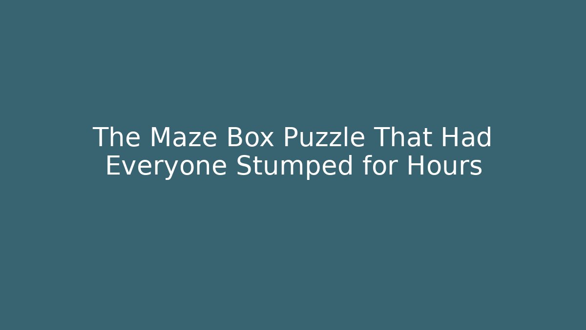 The Maze Box Puzzle That Had Everyone Stumped for Hours