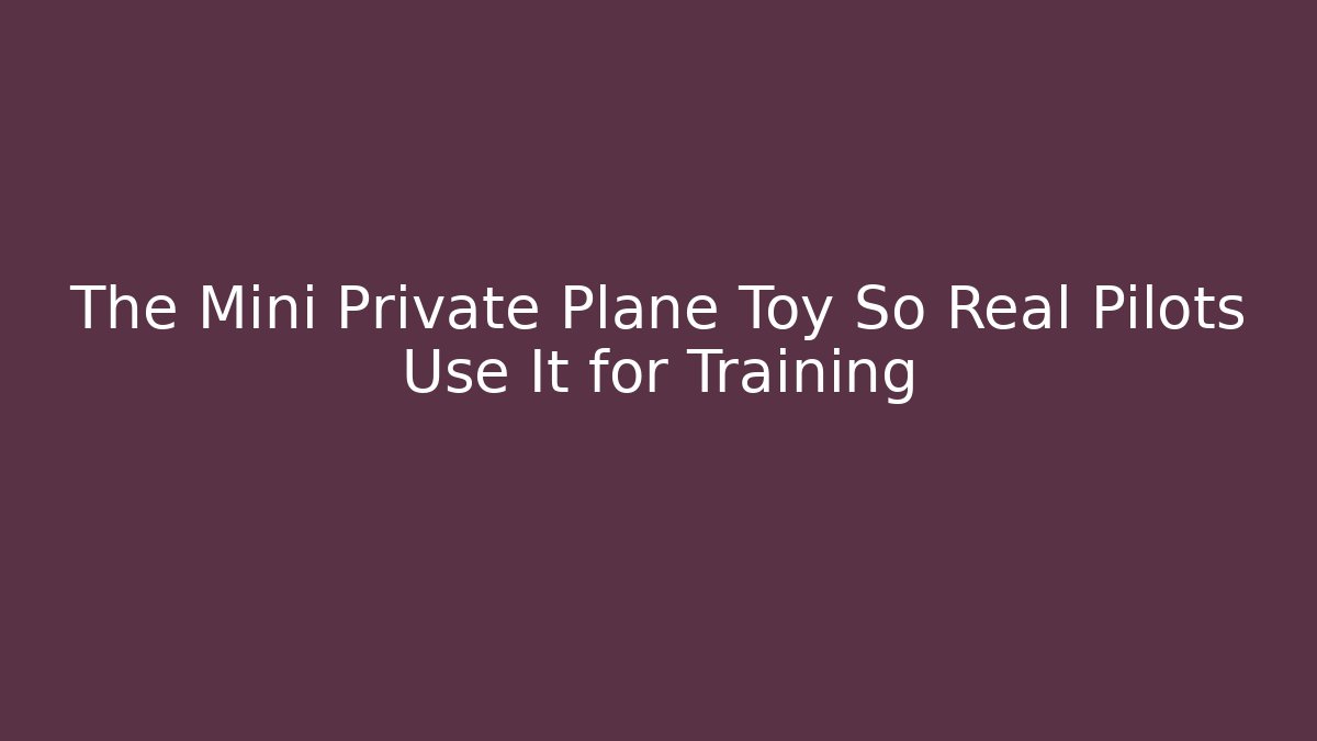 The Mini Private Plane Toy So Real Pilots Use It for Training